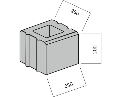 Parpaing creux avec les dimensions 250 x 250 x 200 millimètres