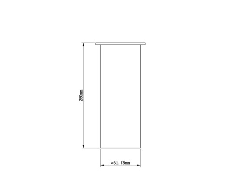 Technische Zeichnung eines Zylinders mit einer Höhe von 250 mm und einem Durchmesser von 31,75 mm.