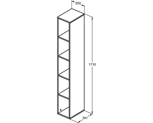 Technische Zeichnung eines Hochschranks mit den Massen 250 x 341 x 1710 Millimeter.