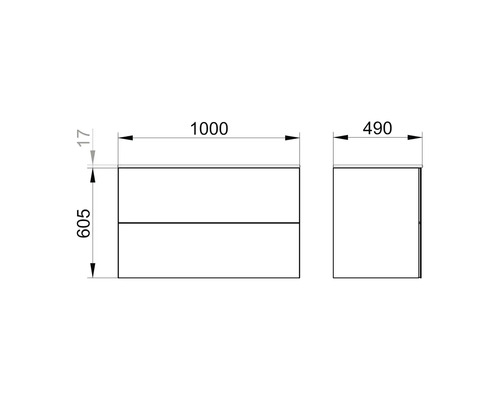 Schéma coté d''un meuble sous-lavabo avec des dimensions de 1000 x 605 x 490 millimètres.