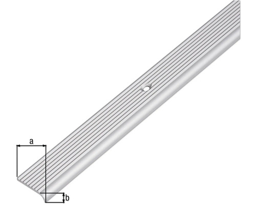 Profil de bordure d''escalier avec trous de vis