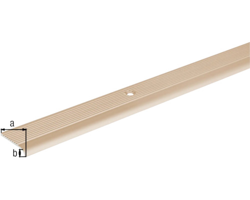 Treppenkantenprofil aus Metall mit Montagebohrung und Maße a und b