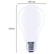 Ampoule avec des dimensions de 67 millimètres de diamètre et 118 millimètres de hauteur.