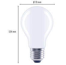 FLAIR LED Lampe dimmbar A70 E27/15W(120W) 1900 lm 6500 K tageslichtweiss klar