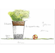 Skizze einer Bepflanzungsidee mit Angaben zu Maßen und Materialien
