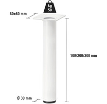 Tischbein Tarrox rund 300 x ø30 mm weiss