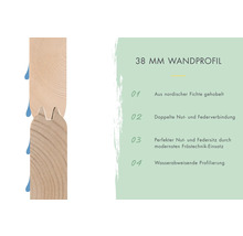 38 mm Wandprofil aus nordischer Fichte mit doppelter Nut- und Federverbindung