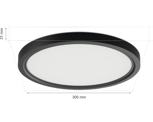 Abbildung einer runden Deckenleuchte mit den Maßen 300 mm Durchmesser und 31 mm Höhe