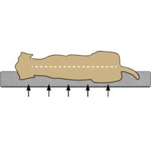 Hundekissen beeztees Orthopädisches Kissen Ito 121 x 78 cm dunkelgrau