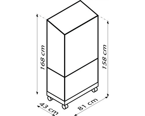 Technische Zeichnung eines Rollcontainers mit den Maßen 168 cm Höhe, 43 cm Breite und 81 cm Tiefe.